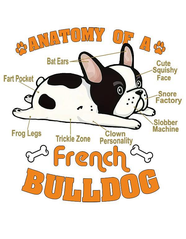 Anatomy of a French Bulldog mintás póló