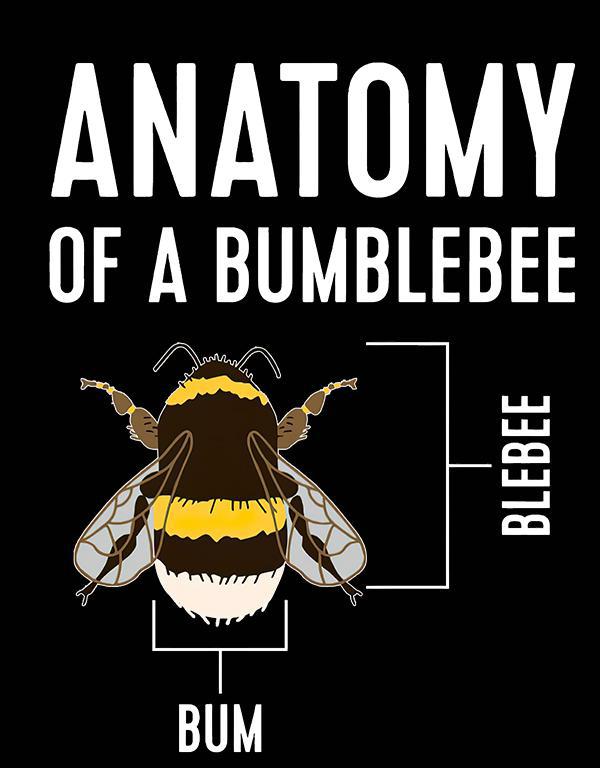 Bumblebee - Anatomy - Méhecske mintás póló
