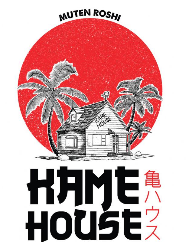 Dragon Ball - Hame House mintás póló