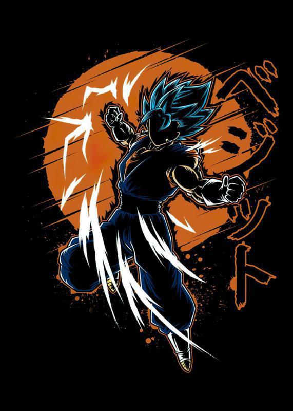 Dragon Ball mintás póló 11