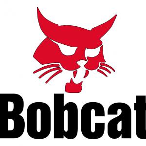 Bobcat mintás bögre