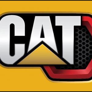 Caterpillar mintás bögre 2