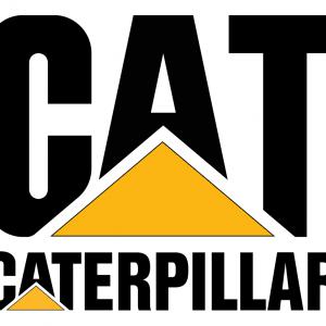 Caterpillar mintás bögre