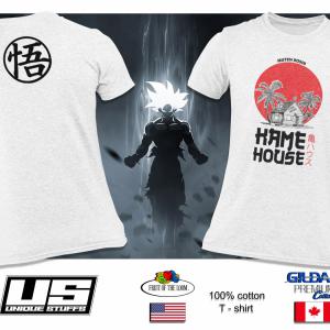 Dragon Ball - Hame House mintás póló