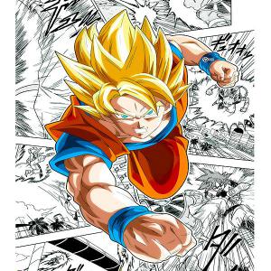 Dragon Ball mintás póló 17