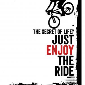 Just enjoy the ride - Downhill mintás póló