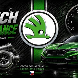 Skoda mintás bögre 4