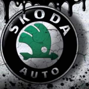 Skoda mintás bögre