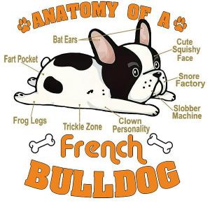 Anatomy of a French Bulldog mintás póló