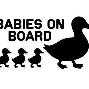 Babys on board - kacsa mama matrica