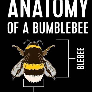 Bumblebee - Anatomy - Méhecske mintás póló