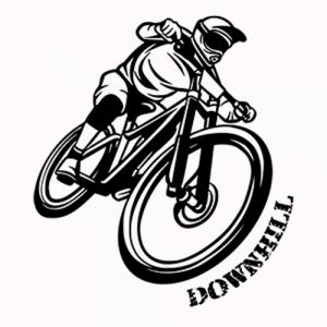 Downhill 3