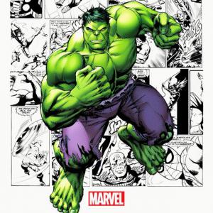 Marvel - Avengers Hulk mintás póló