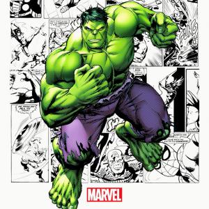 Marvel - Avengers  Hulk mintás póló