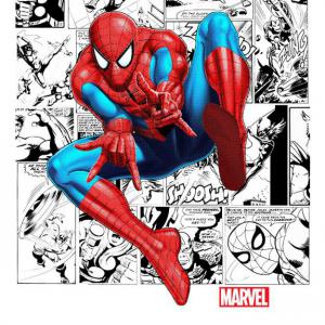 Marvel - Spiderman - Pókember mintás póló