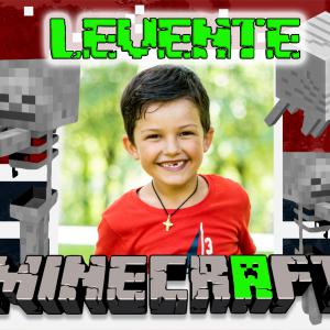 Minecraft mintás bögre 3