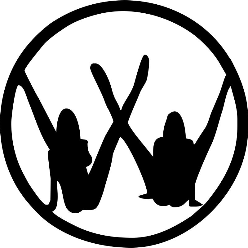 VW sexy logo matrica