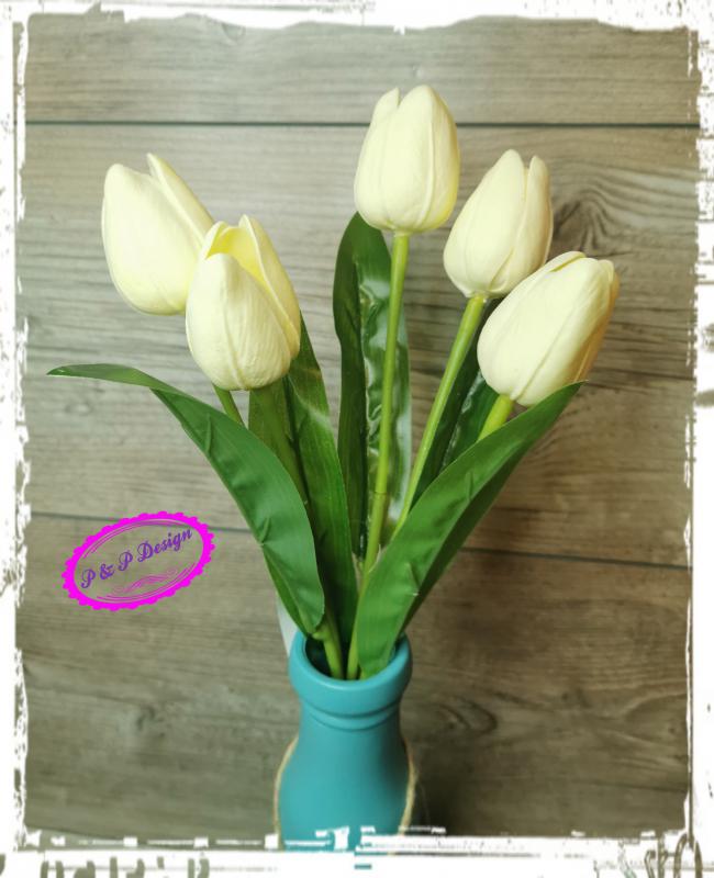 Csokros gumi tulipán M29 cm, 5 virágfej - krém