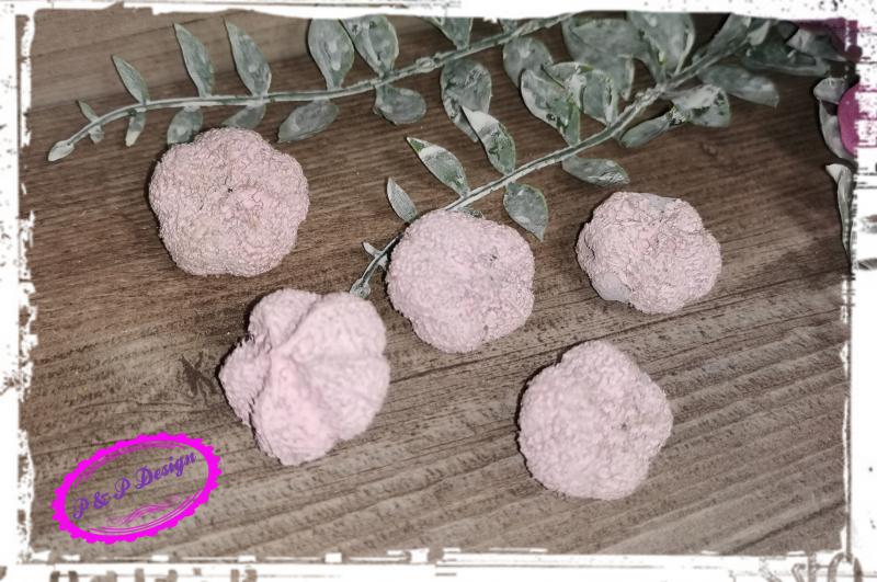 Fokhagyma termés - 5 db/cs - falfestékes rózsaszín