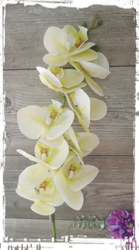 Gumi orchidea / Phalenopsis ág 9 virágfejes, kb. 95 cm hosszú, hajlítható szárral, élethű tapintású - zöld - szép, jó minőségű!