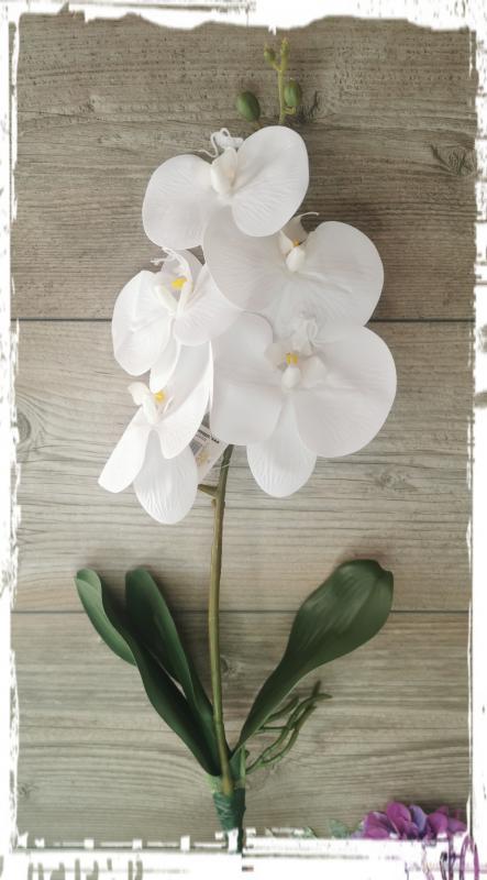 Gumi orchidea / Phalenopsis ág, levéllel - 5 virágfejes, hajlítható szárral, levéllel /egy szálként is tökéletes kaspóba/ - fehér - szép, jó minőségű!