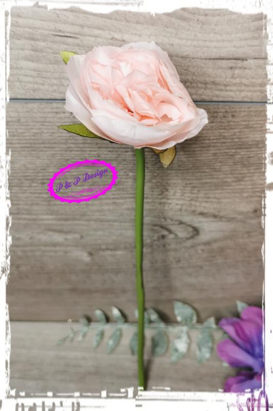 Szálas boglárka virágfej kb. 5 cm fejátmérő, 23 cm magas - rózsaszín
