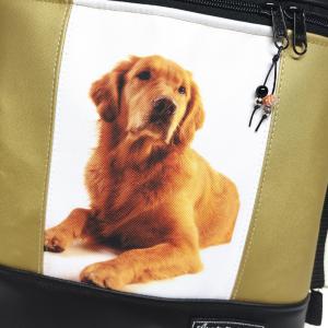 Golden Retriever kutyás 3in1 hátizsák univerzális táska