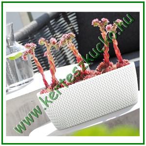 Balkonláda fonott hatású 30 cm FEHÉR - PROSPERPLAST DSPC300