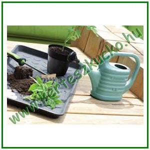 Cipőtartó tálca, munkatálca 72 x 35 cm - PROSPERPLAST IPO720