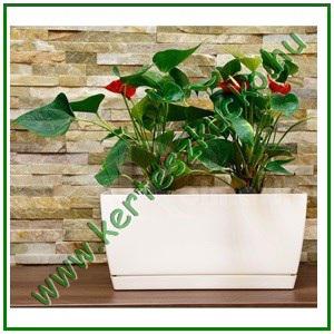 Balkonláda 24 cm FEHÉR - PROSPERPLAST DUPP240