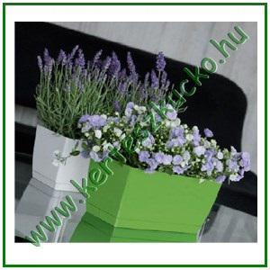 Balkonláda 24 cm FEHÉR - PROSPERPLAST DUPP240