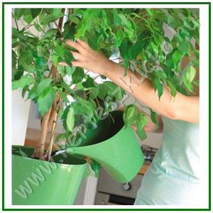 Locsolókanna 2 literes FEHÉR - PROSPERPLAST IDUKON2