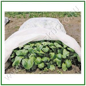 Fátyolfólia 3,2 m x 5 m, 17 gr/m2