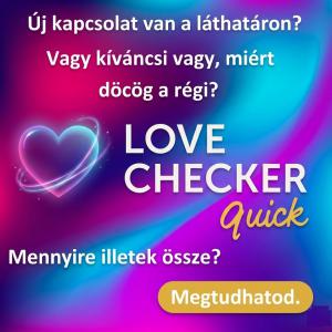 Love Checker© Quick párkapcsolati elemző