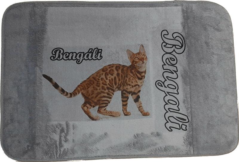Bengàli macskàs kádkilépő