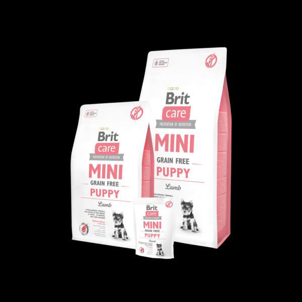 BRIT CARE MINI GRAIN FREE PUPPY LAMB  2kg