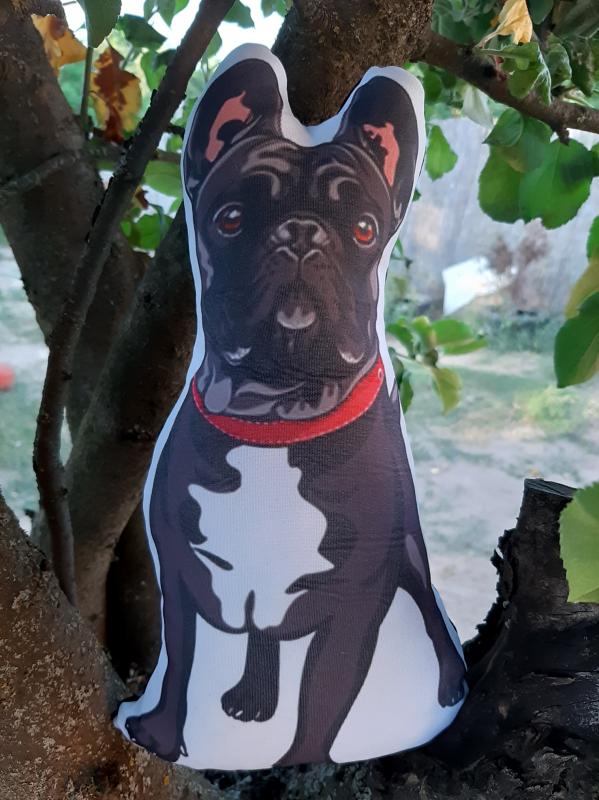 Francia bulldog fekete 3D minj pàrna