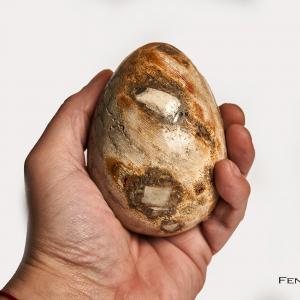 Madagaszkári fosszilis Korall "óriás" tojás, Orthoceras tartóval