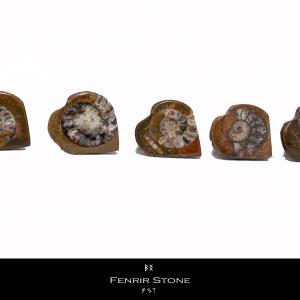 Marokkói Ammonitesz szivek